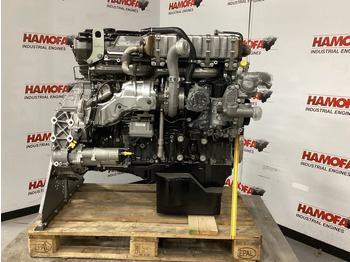 : صورة رأس الصفحة