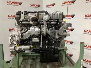 : صورة رأس الصفحة