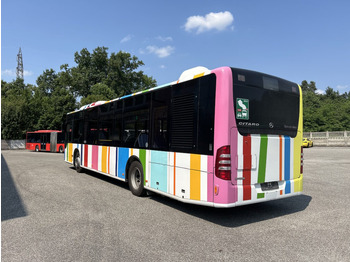 حافلة المدينة N.1 MERCEDES BENZ CITARO O530 – Anno 2012: صورة 5 حافلة المدينة N.1 MERCEDES BENZ CITARO O530 – Anno 2012: صورة 5