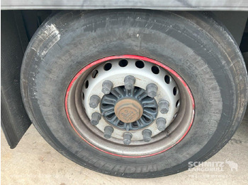 مقطورة فريزر SOR IBERICA Remolque Frigo Standard: صورة 5 مقطورة فريزر SOR IBERICA Remolque Frigo Standard: صورة 5