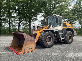 اللودر بعجل 2019 Liebherr L556 XPOWER Wheel Loader: صورة 2