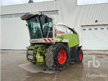 حصادة الأعلاف CLAAS Jaguar