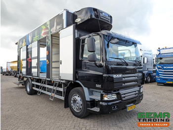 شاحنة الفريزر DAF FA CF65.250 4x2 Daycab Euro5 KoelVriesBak 6.7M  + Carrier Supra750Mt + Laadklep2000kg: صورة 3