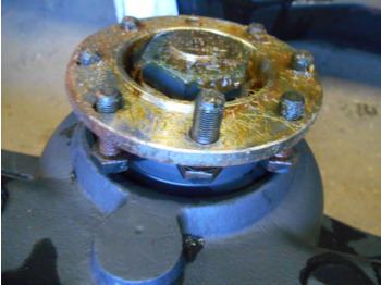 : صورة رأس الصفحة