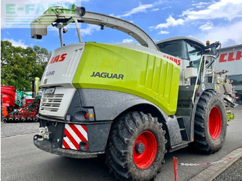 حصادة الأعلاف CLAAS jaguar 940 (494), orbis 600 ac ts pro, pick up 3: صورة 5