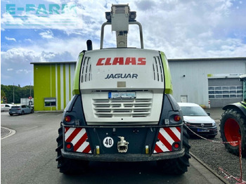 حصادة الأعلاف CLAAS jaguar 940 (494), orbis 600 ac ts pro, pick up 3: صورة 4