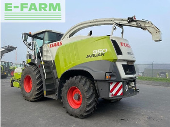 حصادة الأعلاف CLAAS Jaguar 950