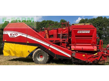 حصادة البطاطس GRIMME
