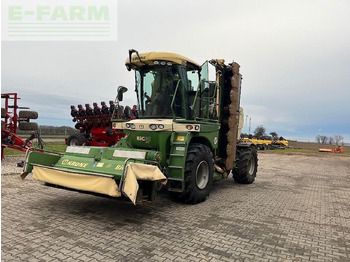 : صورة رأس الصفحة