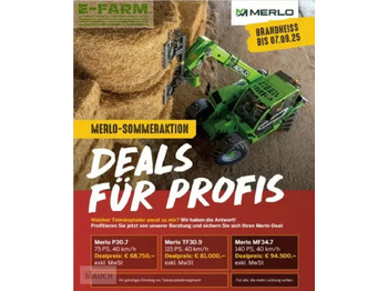 رافعة تلسكوبية MERLO