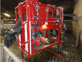 : صورة رأس الصفحة