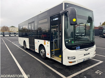 حافلة المدينة