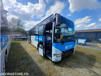 حافلة صغيرة IVECO Crossway