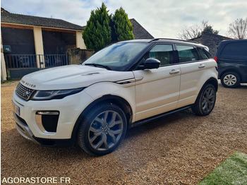 : صورة رأس الصفحة