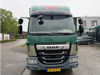 شاحنة ستارة DAF LF 260 4X2 16T DHOLLANDIA LOAD LIFT + TÜV TILL 0: صورة 2