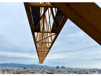 رافعة برجية Liebherr 110 EC-B 6 FR.tronic: صورة 3