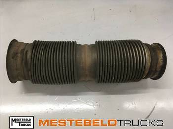 كاتم الصوت/الخمارات DAF XF 106