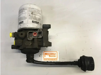 : صورة رأس الصفحة