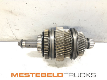 : صورة رأس الصفحة