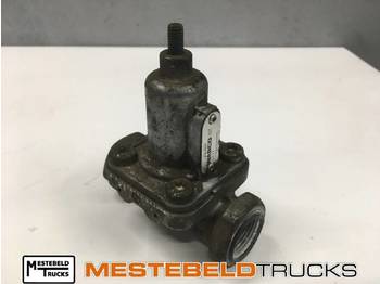 : صورة رأس الصفحة