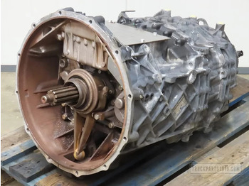 : صورة رأس الصفحة