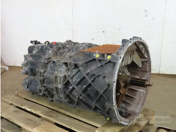 : صورة رأس الصفحة