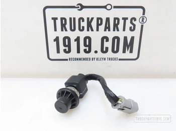 : صورة رأس الصفحة