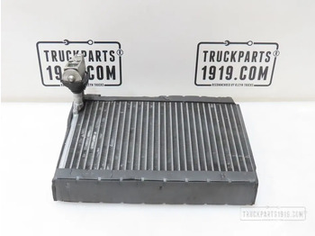 : صورة رأس الصفحة