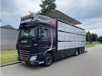 شاحنة نقل المواشي DAF XF 460 - Animal transporter: صورة 3