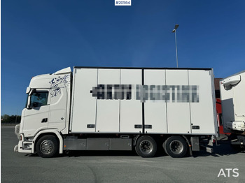 شاحنة مقفلة Scania S650: صورة 2