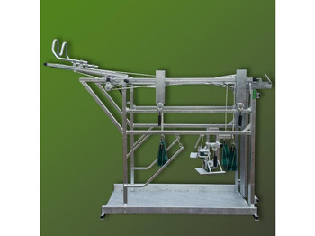 : صورة رأس الصفحة