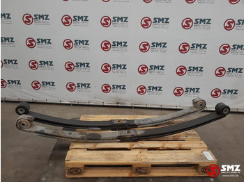 تعليق الصلب DAF