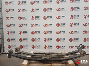 تعليق الصلب DAF