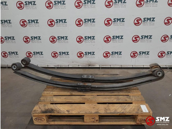 تعليق الصلب DAF