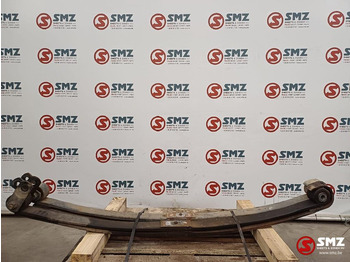 تعليق الصلب DAF