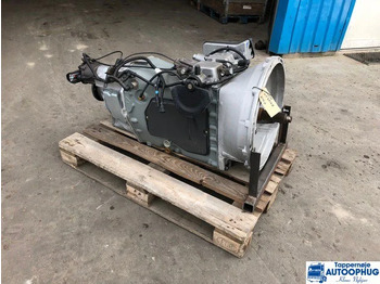 : صورة رأس الصفحة