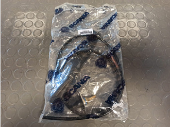 : صورة رأس الصفحة