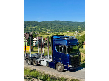 شاحنة قطع الأشجار SCANIA 650 V8 6X4: صورة 4