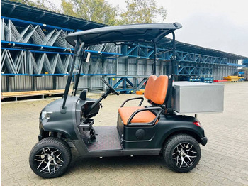 جديدة عربة الجولف RTE: صورة 2