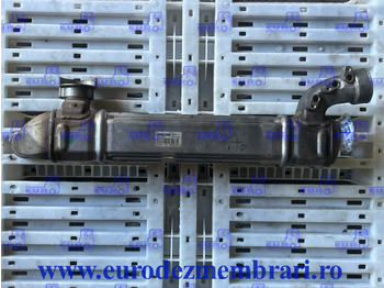 : صورة رأس الصفحة