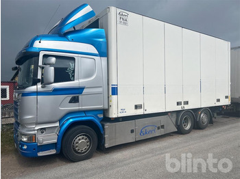 شاحنة SCANIA R 580