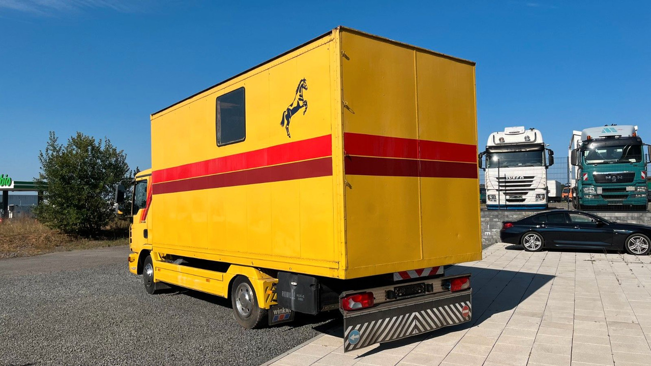 MAN TGL 10.180 Euro 4 Pferdetransporter Horse MAN TGL 10.180 Euro 4 Pferdetransporter Horse - شاحنة نقل خيل: صورة 5 MAN TGL 10.180 Euro 4 Pferdetransporter Horse MAN TGL 10.180 Euro 4 Pferdetransporter Horse - شاحنة نقل خيل: صورة 5