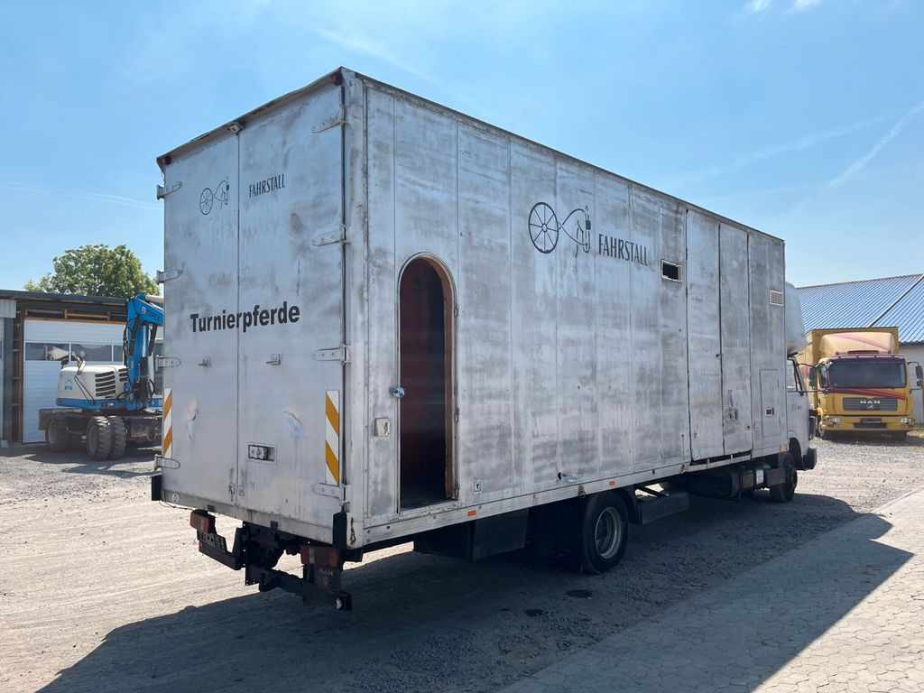 MAN VW-MAN LO2 Koffer Schlafkabine MAN VW-MAN LO2 Koffer Schlafkabine - شاحنة مغلقة الصندوق: صورة 4 MAN VW-MAN LO2 Koffer Schlafkabine MAN VW-MAN LO2 Koffer Schlafkabine - شاحنة مغلقة الصندوق: صورة 4