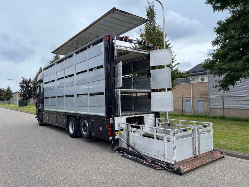 DAF XF 460 2017 berdex 3 lagen varkens - شاحنة نقل المواشي: صورة 4 DAF XF 460 2017 berdex 3 lagen varkens - شاحنة نقل المواشي: صورة 4