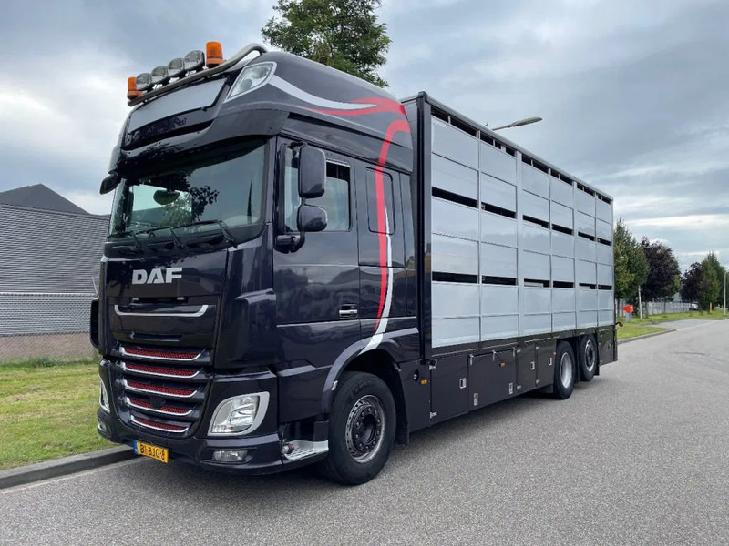 DAF XF 460 2017 berdex 3 lagen varkens - شاحنة نقل المواشي: صورة 1 DAF XF 460 2017 berdex 3 lagen varkens - شاحنة نقل المواشي: صورة 1