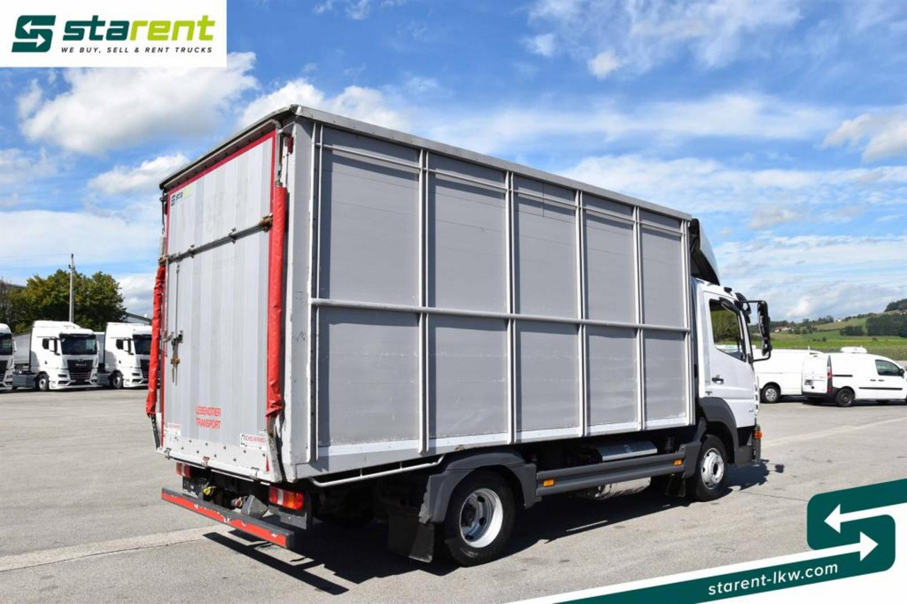 Mercedes Benz 818 Viehtransporter Scheuwimmer Aufbau - شاحنة نقل المواشي: صورة 5 Mercedes Benz 818 Viehtransporter Scheuwimmer Aufbau - شاحنة نقل المواشي: صورة 5