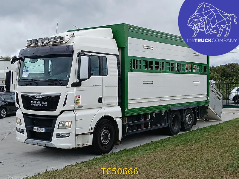 MAN TGX 460 - شاحنة نقل المواشي: صورة 1 MAN TGX 460 - شاحنة نقل المواشي: صورة 1