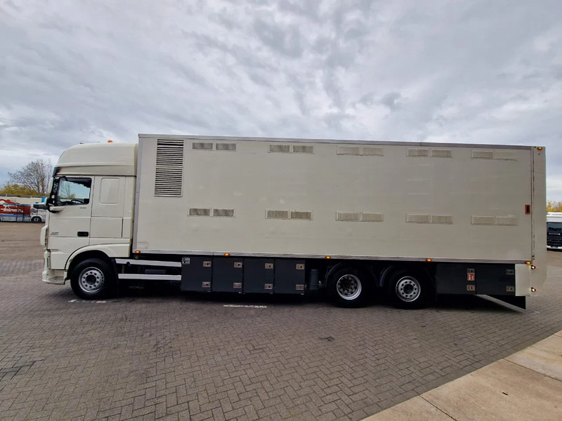 DAF XF 440 SuperSpaceCab 6x2*4 - 2 deck Closed Livestock - 40M2 - Filtersystem - شاحنة نقل المواشي: صورة 4 DAF XF 440 SuperSpaceCab 6x2*4 - 2 deck Closed Livestock - 40M2 - Filtersystem - شاحنة نقل المواشي: صورة 4