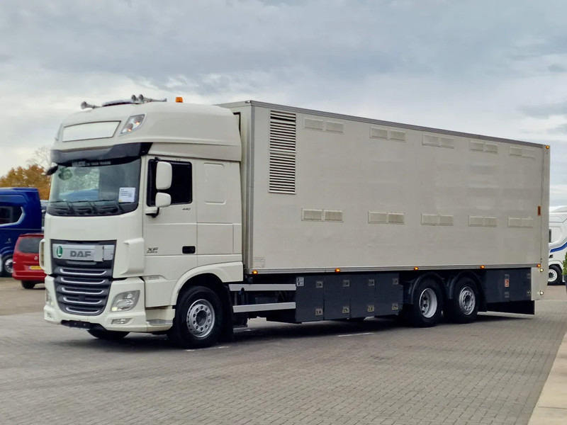 DAF XF 440 SuperSpaceCab 6x2*4 - 2 deck Closed Livestock - 40M2 - Filtersystem - شاحنة نقل المواشي: صورة 3 DAF XF 440 SuperSpaceCab 6x2*4 - 2 deck Closed Livestock - 40M2 - Filtersystem - شاحنة نقل المواشي: صورة 3