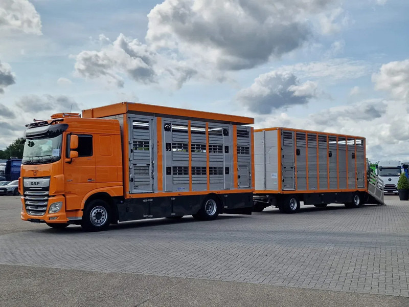 DAF XF 530 4x2 - Livestock Menke + 2018 Menke trailer 2 deck - Water + Ventilation - Lifting roof - شاحنة نقل المواشي: صورة 3 DAF XF 530 4x2 - Livestock Menke + 2018 Menke trailer 2 deck - Water + Ventilation - Lifting roof - شاحنة نقل المواشي: صورة 3